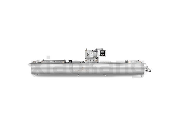 DLZ-520E全自动连续拉伸真空包装机
